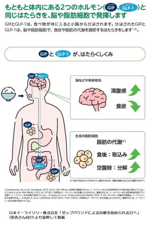 五十嵐内科 仙台市宮城野区福室 内科 呼吸器 循環器 土曜ＰＭ診療 喘息 高血圧症 糖尿病 脂質異常症 痛風 生活習慣病 肥満 ダイエット外来 睡眠時無呼吸症候群 発熱外来 GIP/GLP-1作動薬 ゼップバウンド マンジャロ ダイエット外来